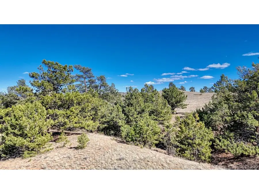 5090 Arikara, Hartsel, CO 80449 - #3