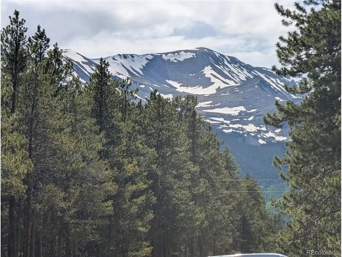 495 Birch Dr, Twin Lakes, CO 81251 - #1