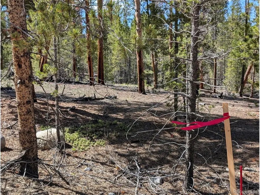495 Birch Dr, Twin Lakes, CO 81251 - #2
