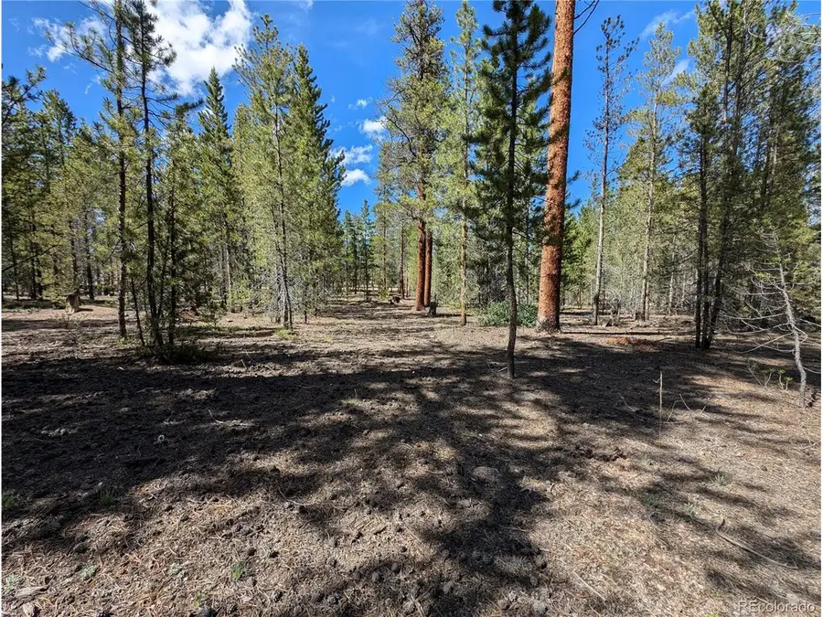 495 Birch Dr, Twin Lakes, CO 81251 - #3