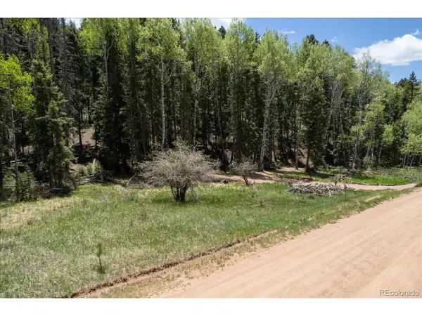 546 Spring Valley Ln, Florissant, CO 80816