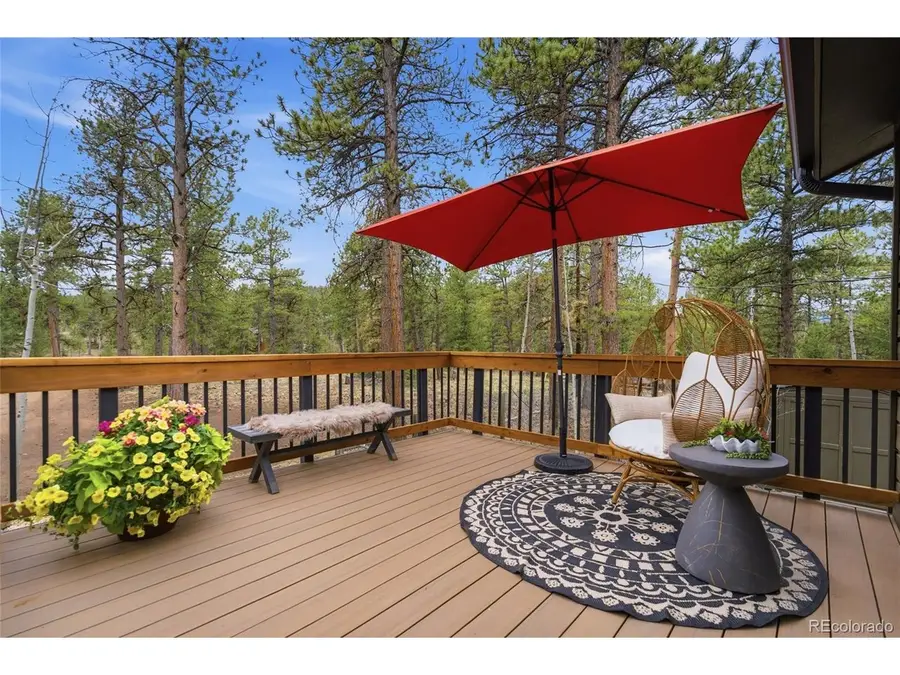 33691 Nova Rd, Pine, CO 80470 - #3