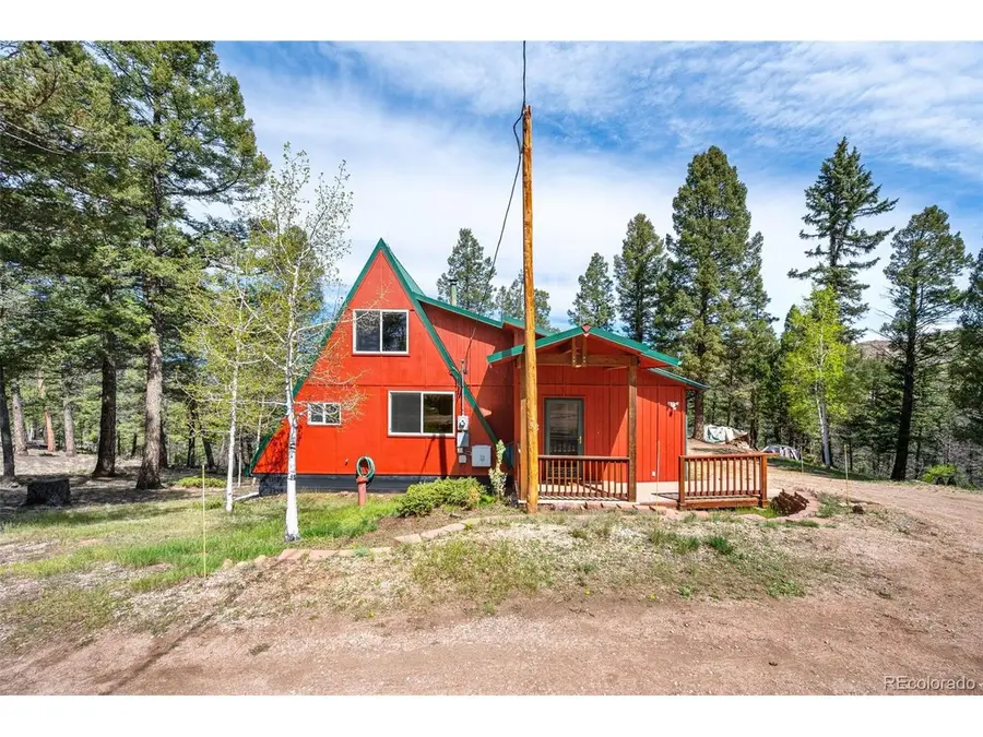 873 Trail Creek Rd, Lake George, CO 80827 - #2