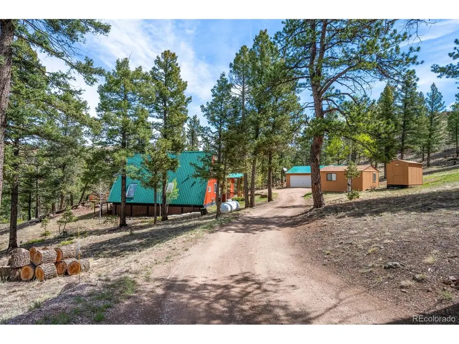 873 Trail Creek Rd, Lake George, CO 80827 - #3