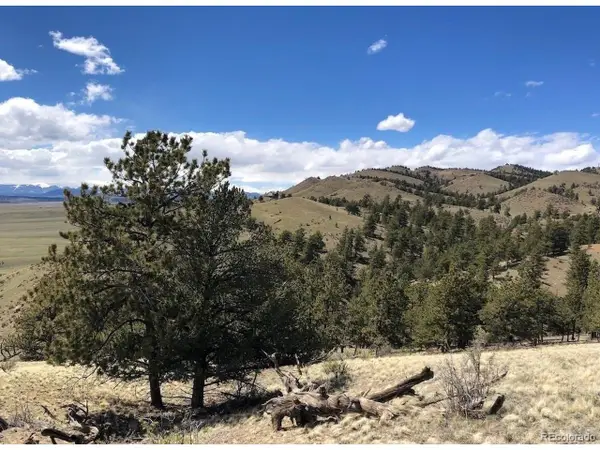 11 Willow St, Hartsel, CO 80449