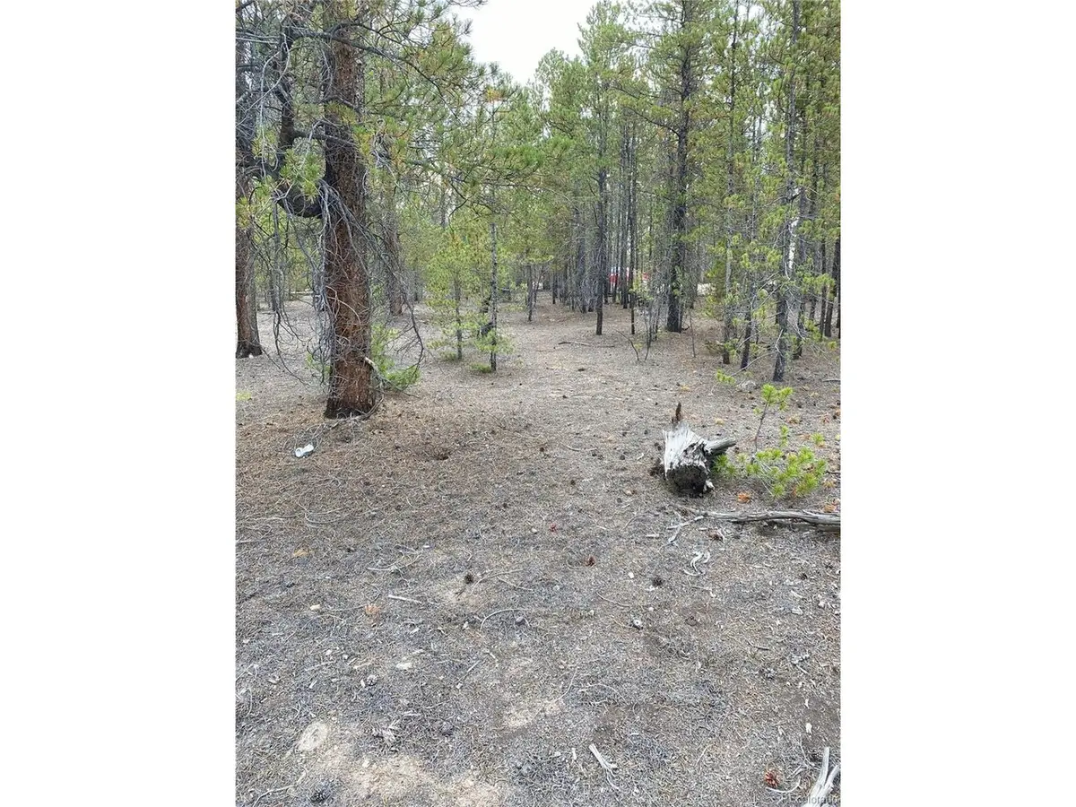 340 Peak View Dr, Twin Lakes, CO 80461 - #1