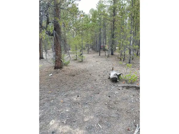 340 Peak View Dr, Twin Lakes, CO 80461