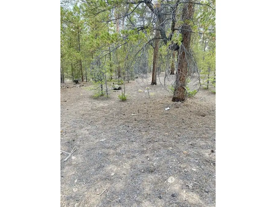 340 Peak View Dr, Twin Lakes, CO 80461 - #2