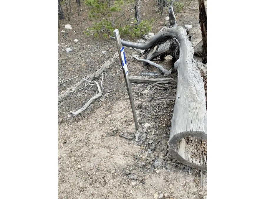 340 Peak View Dr, Twin Lakes, CO 80461 - #3