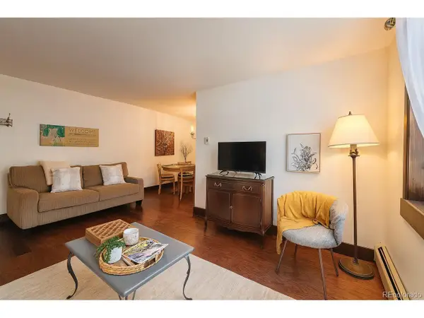 214 S Harris St #101, Breckenridge, CO 80424