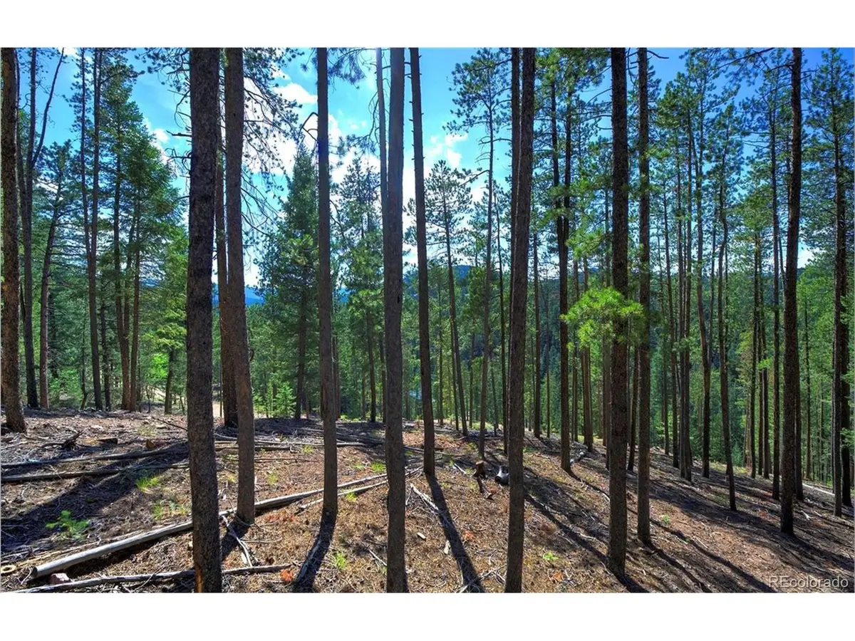 6824 Lynx Lair Rd, Evergreen, CO 80439 - #1