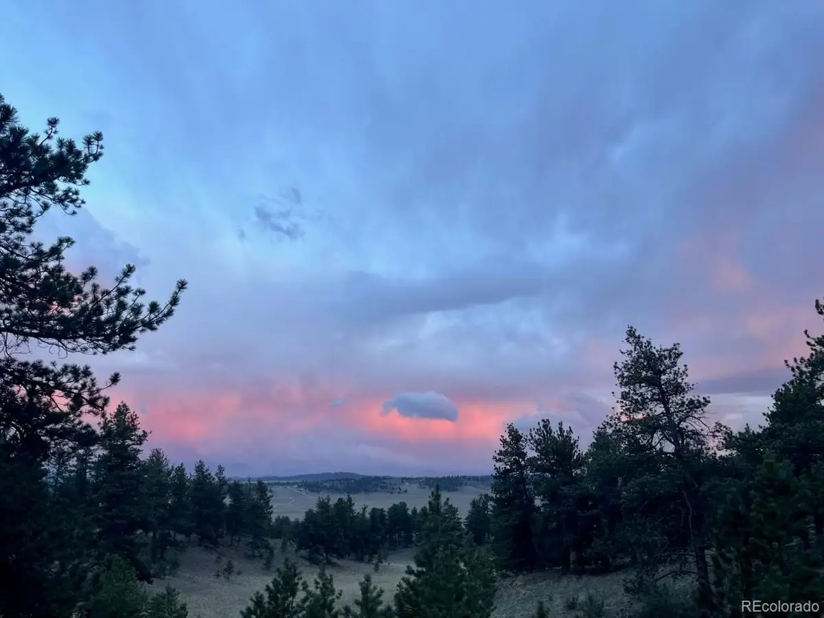 183 Muir Woods Trl, Hartsel, CO 80449 - #1