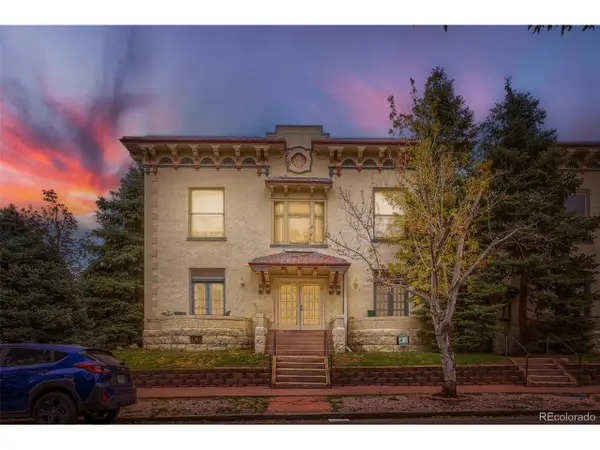 1368 N Downing St #3, Denver, CO 80218