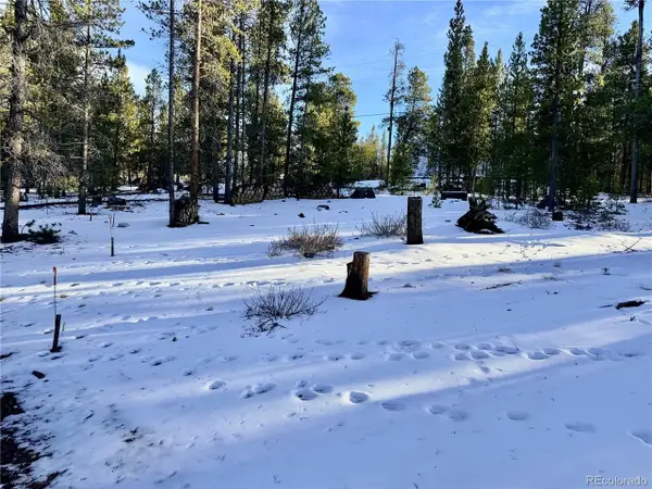 198 Juniper Dr, Twin Lakes, CO 81251