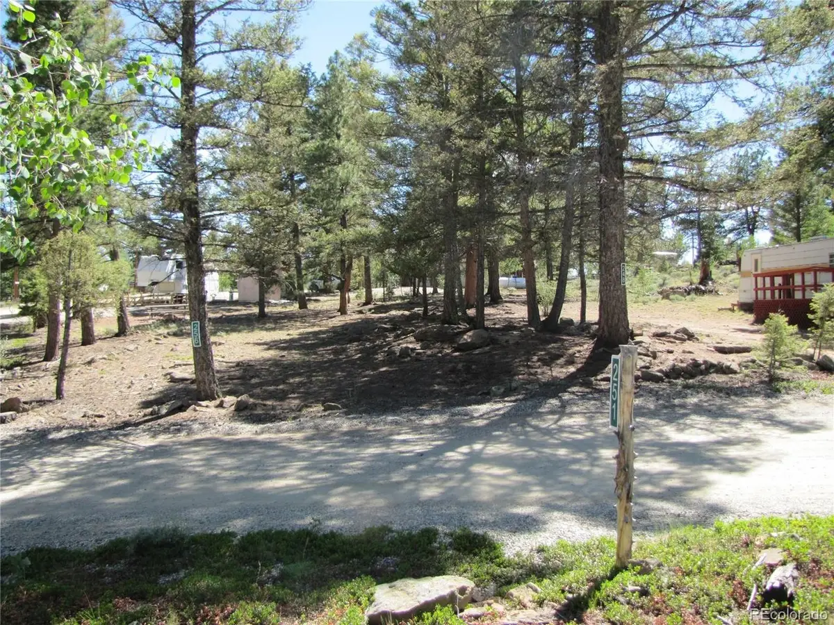 251 Pullman Loop, Hartsel, CO 80449 - #1