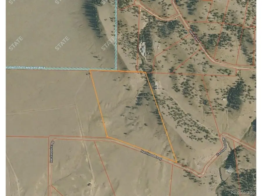 Hardwood Loop, Hartsel, CO 80449 - #3