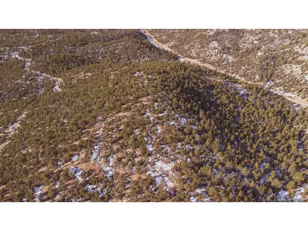 Gulch Rd, Cotopaxi, CO 81223