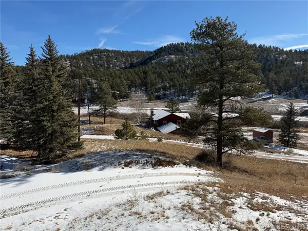 159 W Platte Rd, Lake George, CO 80827