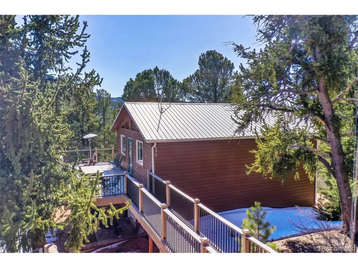 493 Horseshoe Dr, Divide, CO 80814 - #1