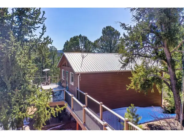 493 Horseshoe Dr, Divide, CO 80814