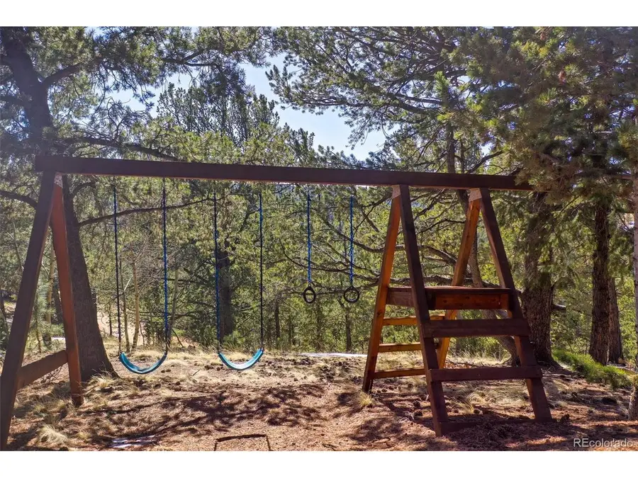 493 Horseshoe Dr, Divide, CO 80814 - #3