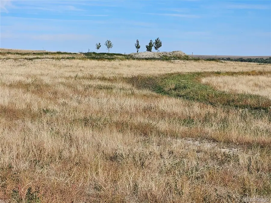 41683 Bijou View St, Agate, CO 80101 - #3
