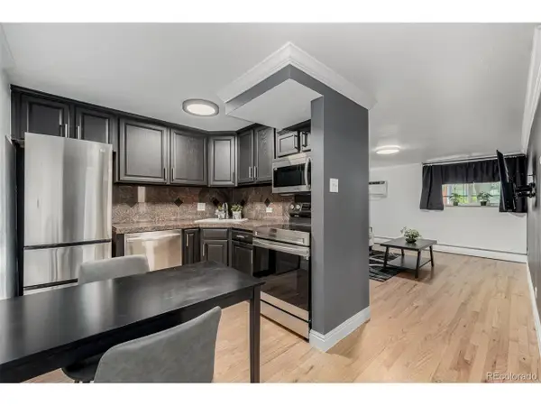 1390 N Emerson St #101, Denver, CO 80218