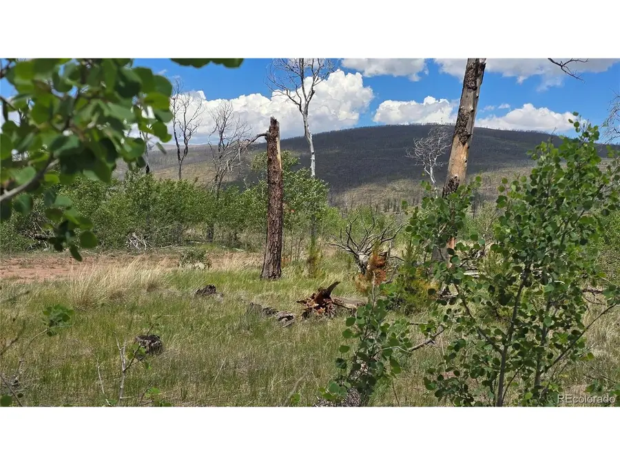 1617 Kopf Ln, Fort Garland, CO 81133 - #2