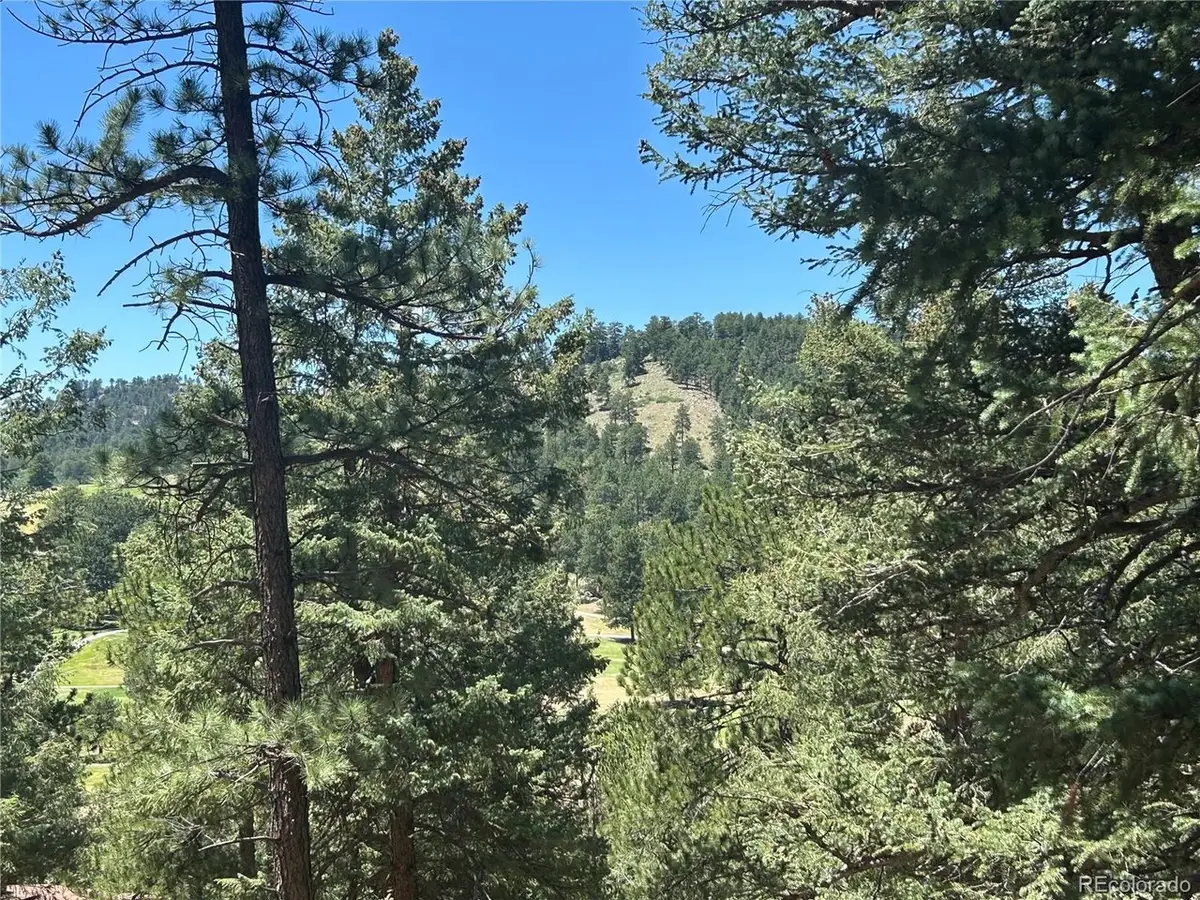 0 Pine Rd, Evergreen, CO 80439 - #1