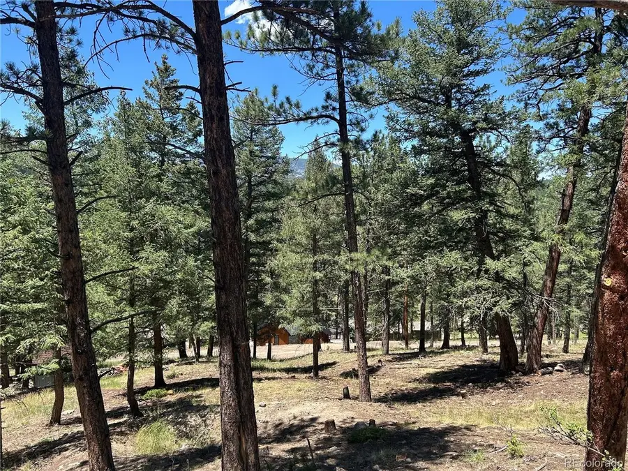 0 Pine Rd, Evergreen, CO 80439 - #2