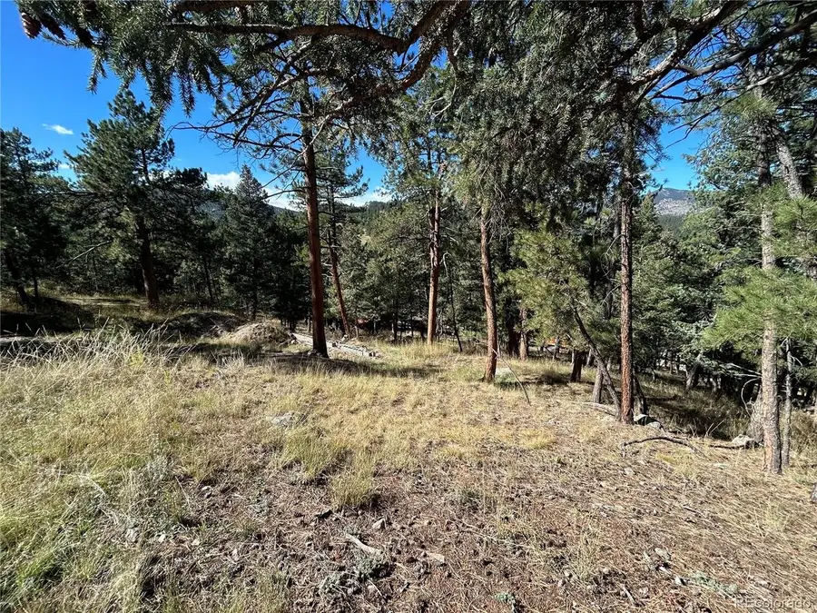 0 Pine Rd, Evergreen, CO 80439 - #3