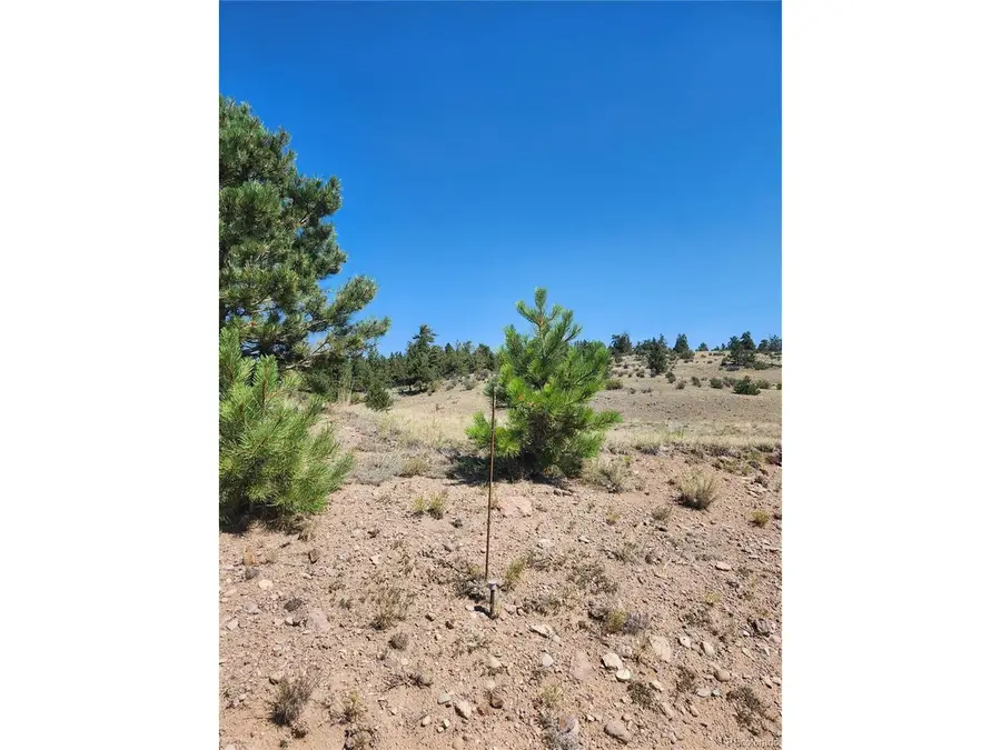 64 Bandana Rd, Hartsel, CO 80449 - #3