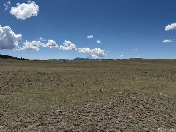 1338 Chimapavi Trl, Hartsel, CO 80449