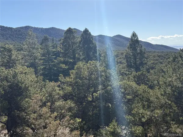 2045 Pfotenhaur Rd, Fort Garland, CO 81133