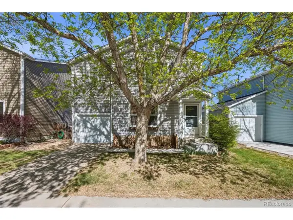 4641 S Tabor Way, Morrison, CO 80465