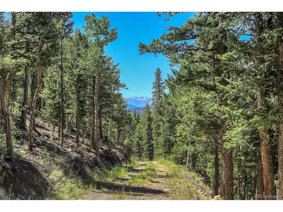 9 Hughesville Rd, Black Hawk, CO 80422 - #3