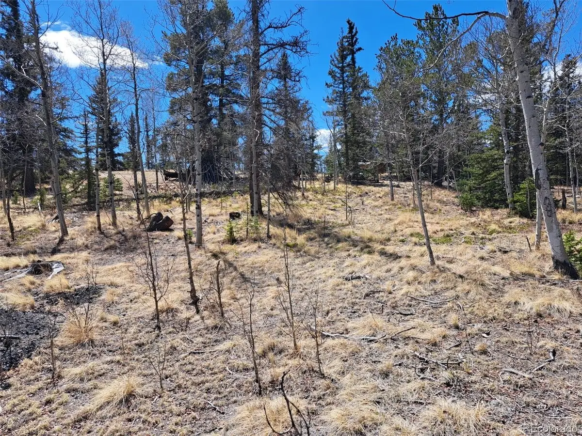 730 Tepee Trl, Como, CO 80432 - #1