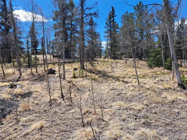 730 Tepee Trl, Como, CO 80432