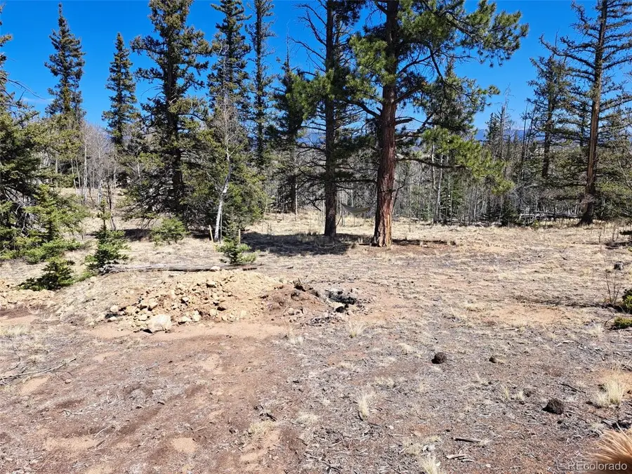 730 Tepee Trl, Como, CO 80432 - #3