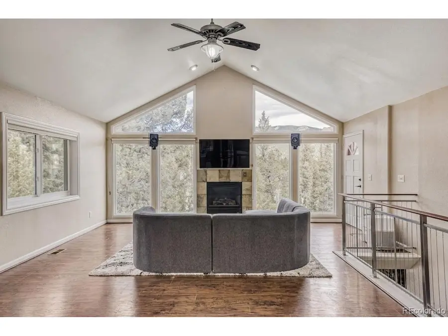 12447 S Danny Ave, Pine, CO 80470 - #2