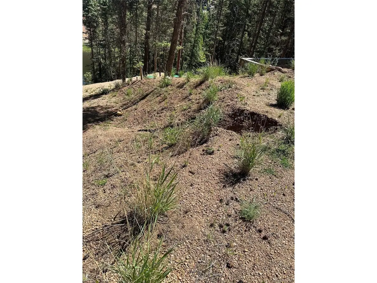 67 Gerka Ln, Florissant, CO 80816 - #1