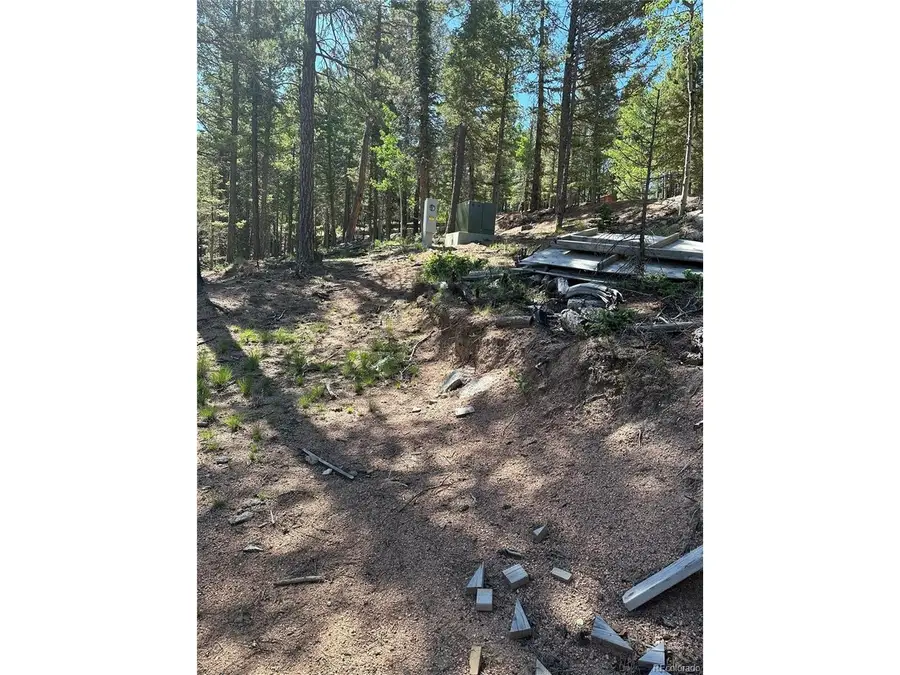 67 Gerka Ln, Florissant, CO 80816 - #2
