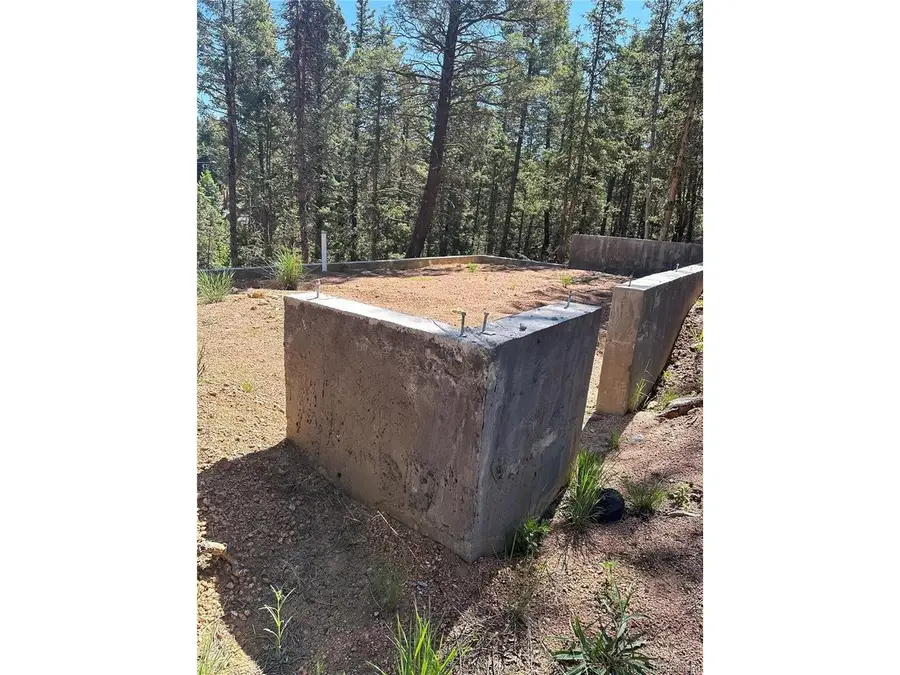 67 Gerka Ln, Florissant, CO 80816 - #3