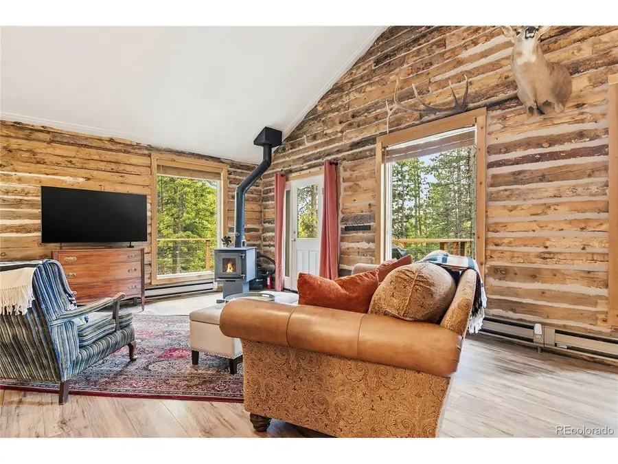 185 Alice Rd, Idaho Springs, CO 80452 - #2