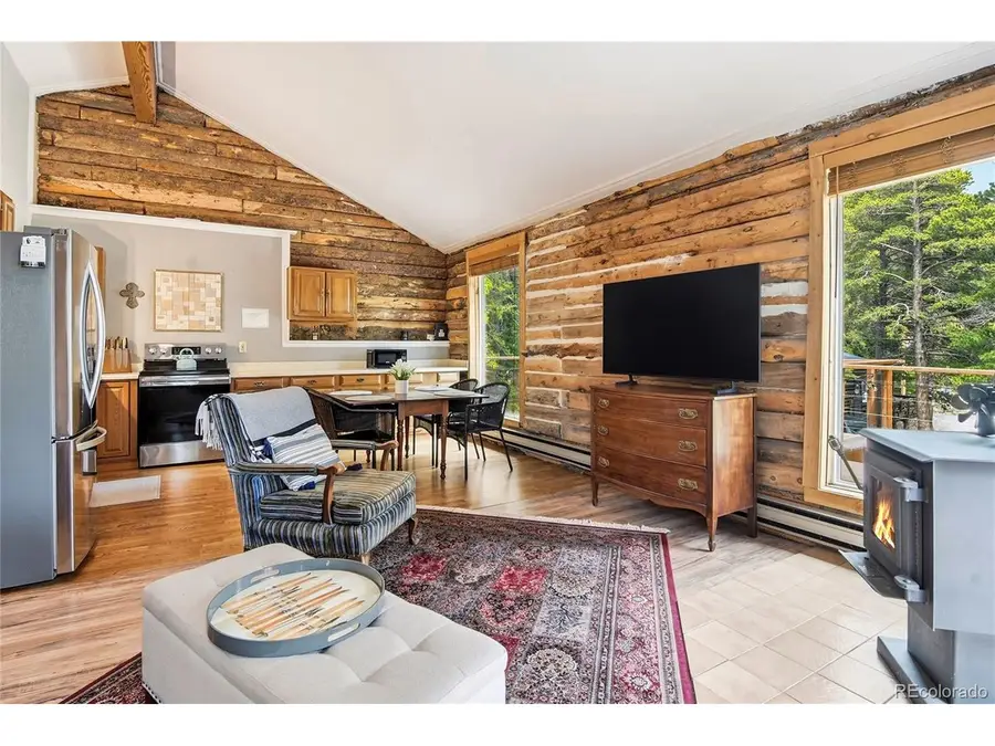 185 Alice Rd, Idaho Springs, CO 80452 - #3