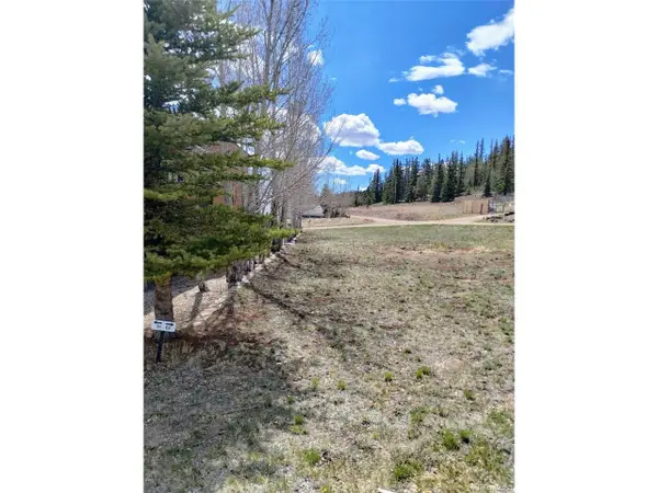 122 Coach Ln, Hartsel, CO 80449