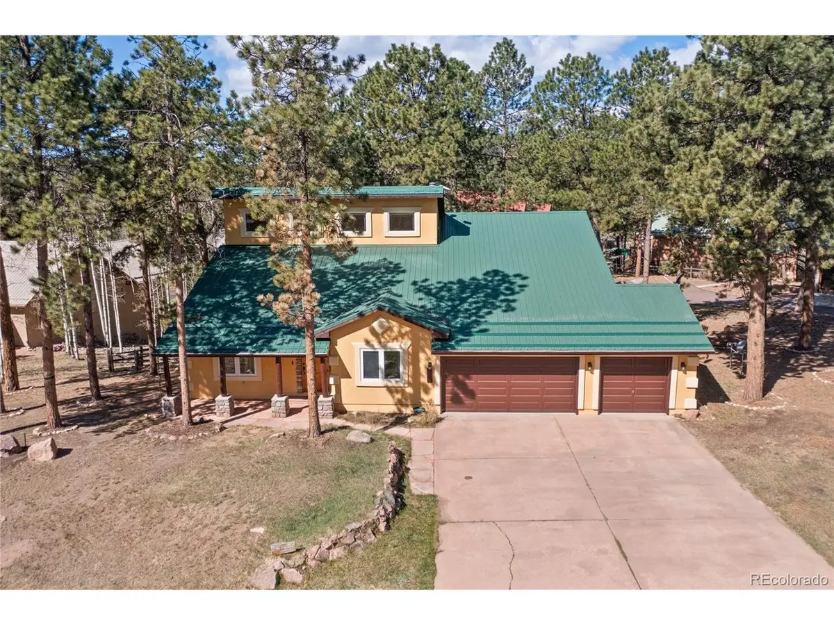 311 Panther Ct, Woodland Park, CO 80863 - #1