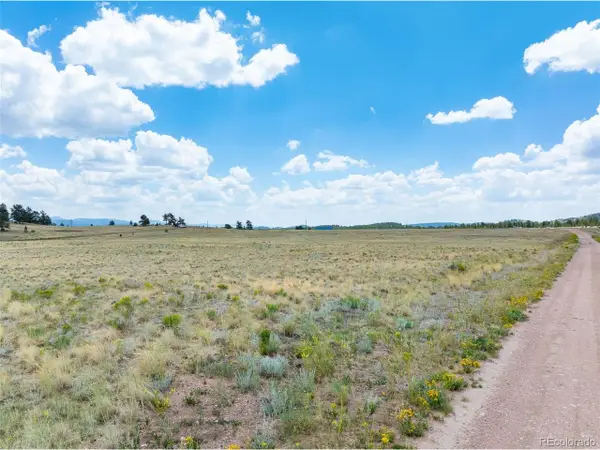 74 Wrights Ln, Guffey, CO 80820