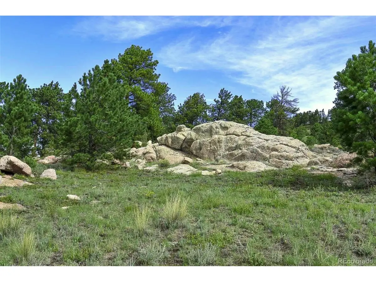 32 Peak Dr, Guffey, CO 80820 - #1