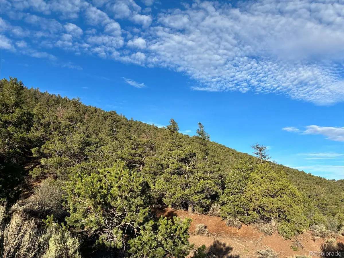 8 Adelaide Rd, San Luis, CO 81152 - #1
